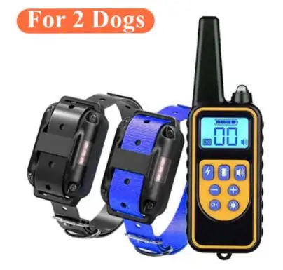 dog training collar