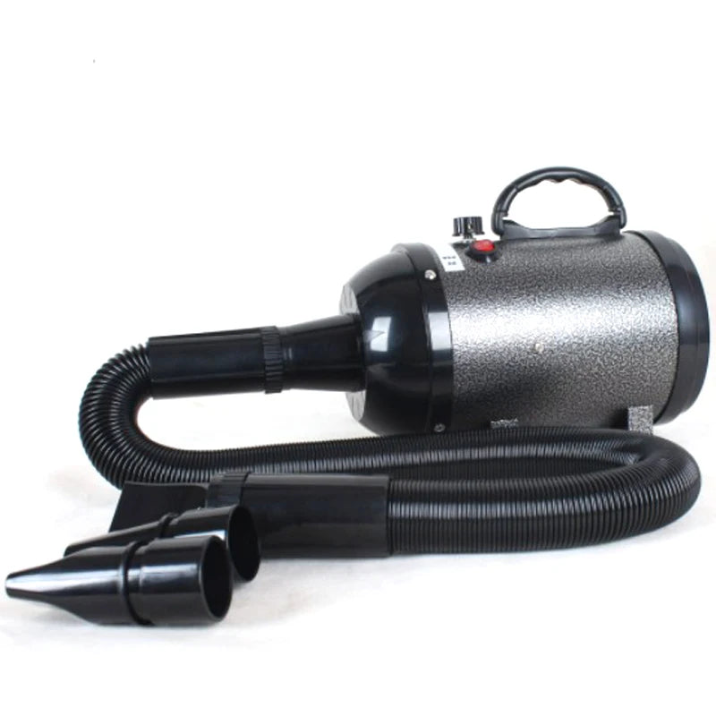 Sèche-cheveux et brosse de toilettage 2 en 1 pour animaux de compagnie