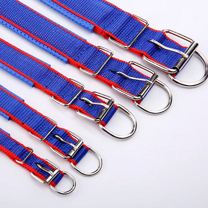 Adjustable Nylon Strap Dog Collar