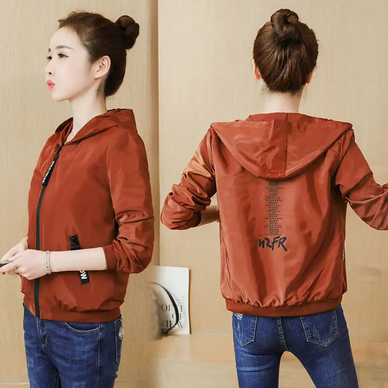 50247587299646|50247587397950|50247587496254|50247587529022|50247587561790|50247587594558