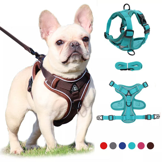 Adjustable Reflective Mesh Dog Harness Leash Set