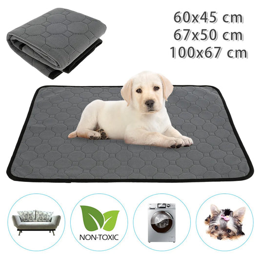 dog training mat