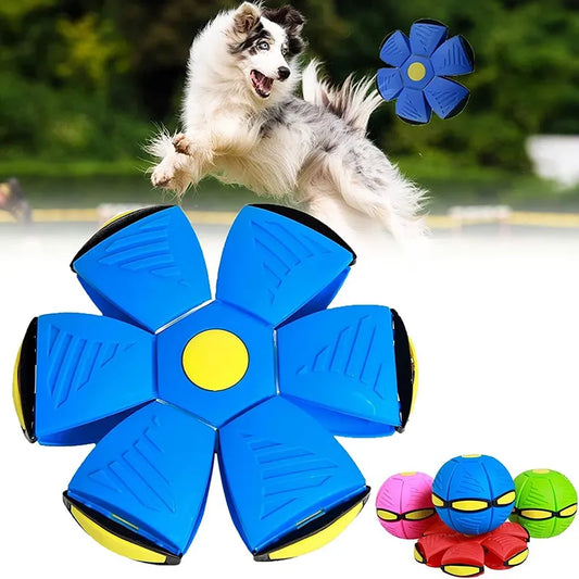 Magic Flying Saucer Dog Toy for Outdoor Fun