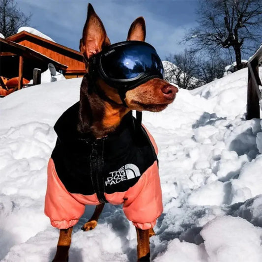 Dog Warm Waterproof Jacket - Pet Clothes