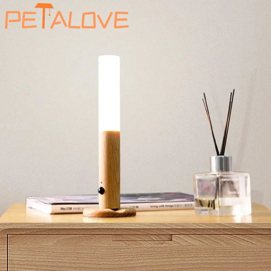 Body Induction Night Light - LED Rechargeable Corridor Cabinet Wall Light
