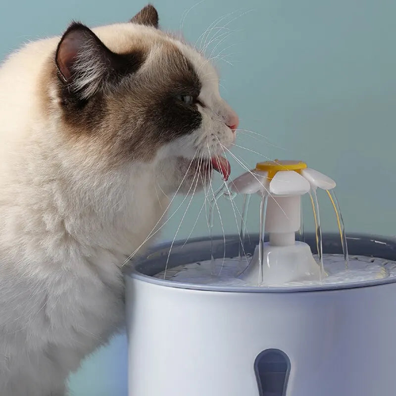 cat fountain water bowl