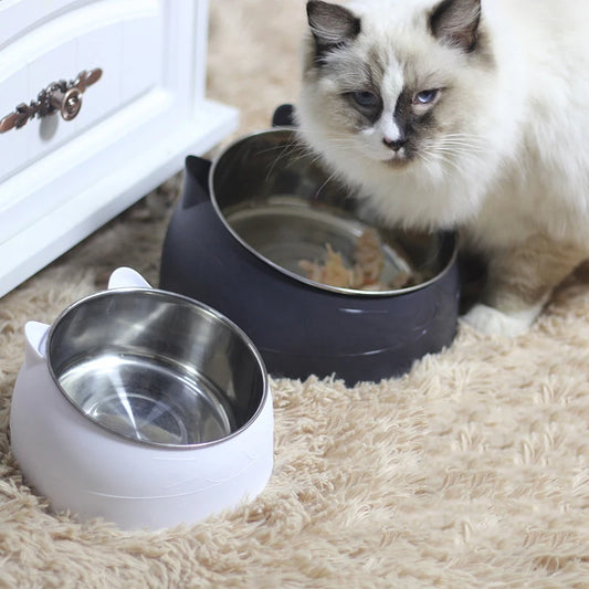 Tilted Stainless Steel Cat Dog Bowl
