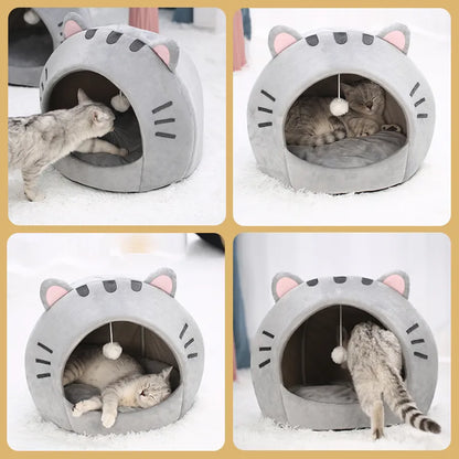 Kitten Sleeping Warm Bed House