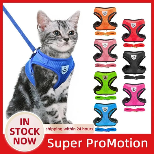 Adjustable Mesh Cat Harness Vest with Leash