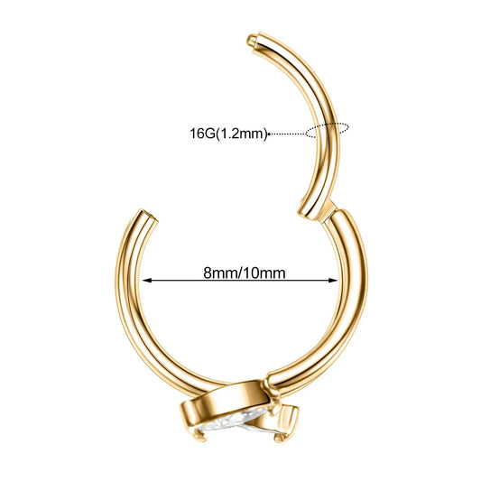 Zircon Conch Nose Ring & Earrings