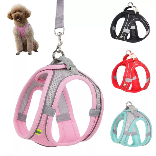 Adjustable Harness Leash Set for Small Dogs