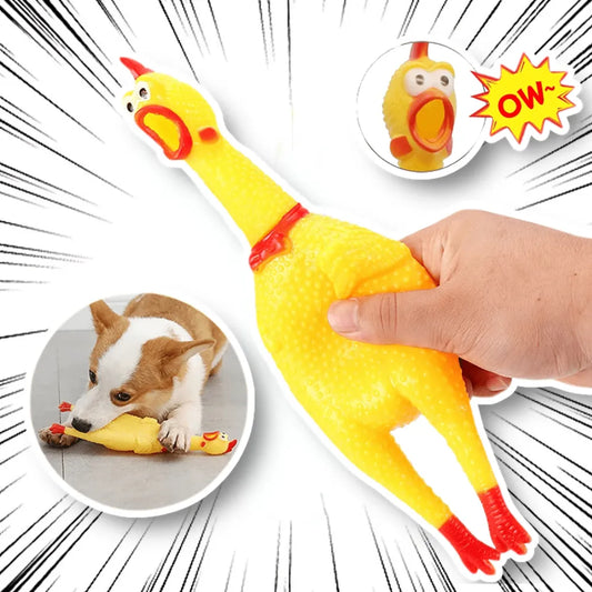 Screaming Chicken Squeeze Dog Chew Toy
