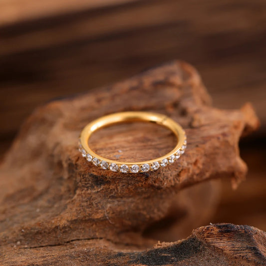 Titanium Zircon Nose Rings Set