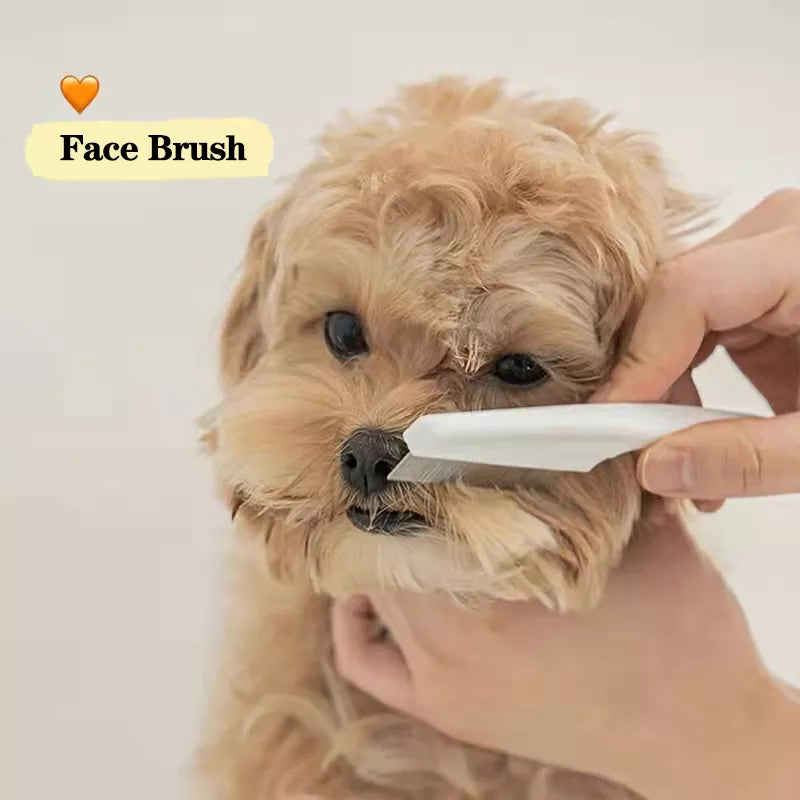 dog hair brush