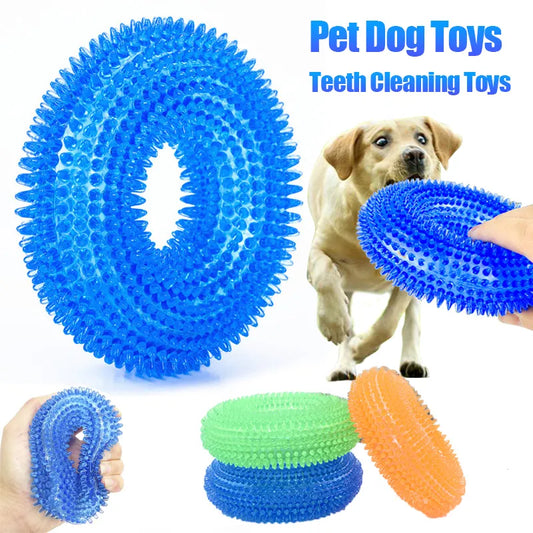 Thorn-Textured Squeaky Chew Toy for Dogs