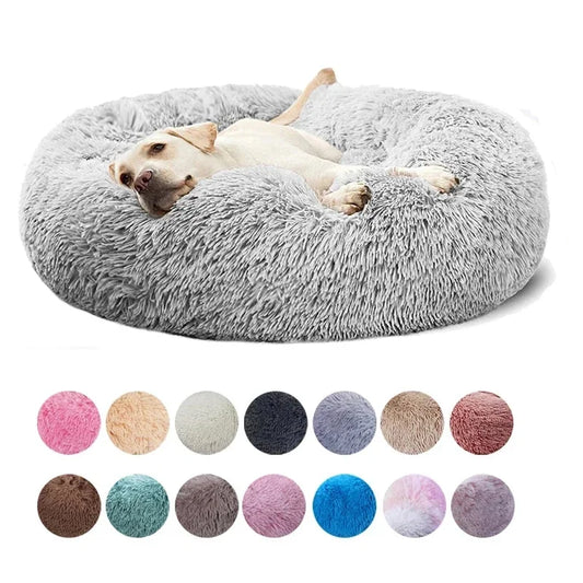 heated dog bed