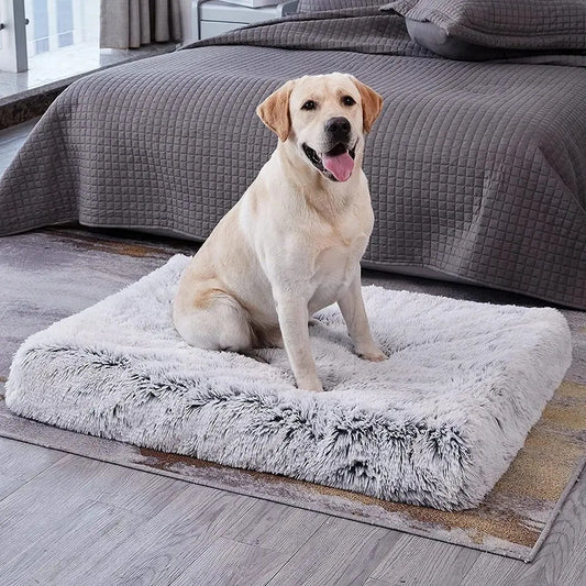 Non-slip Long Plush Dog Bed with Removable Cover