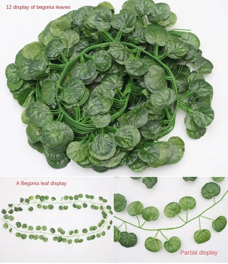 49870150730046|49870151024958|49870151057726