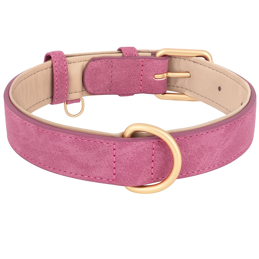 Leather Dog Collar