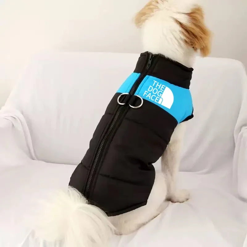 Labrador Dog Clothes