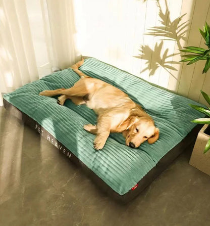 washable bed for dogs