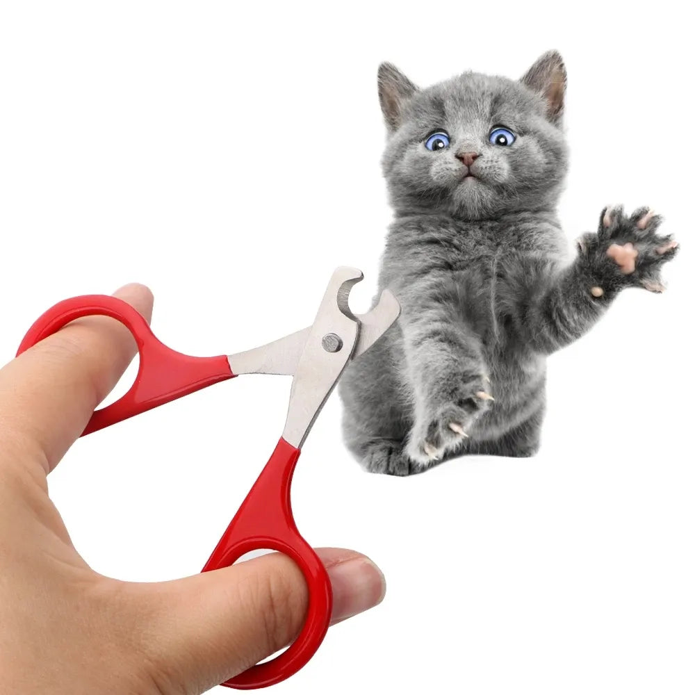 scissors for cat nails