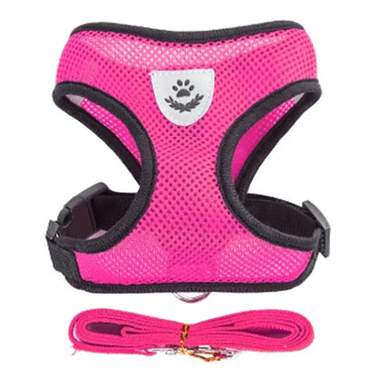 best cat harness and leash