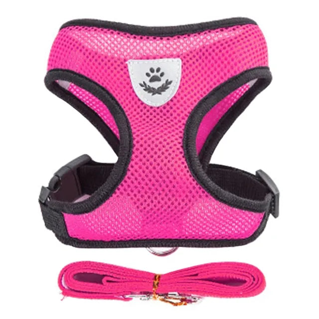 puppy harness