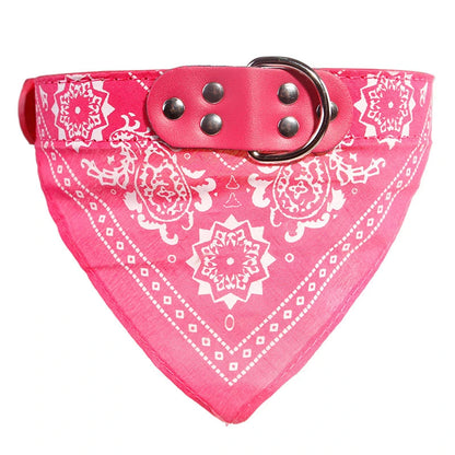 puppy dog collar