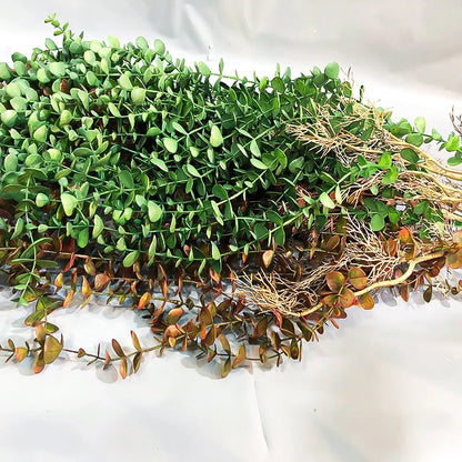 Künstliche Eukalyptus-Rattan-Rebe, Kunststoffpflanze, 104 cm