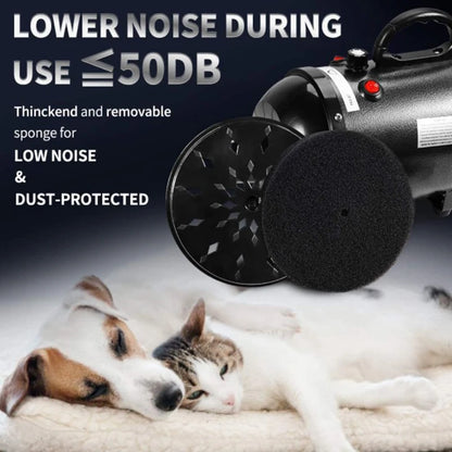 Sèche-cheveux et brosse de toilettage 2 en 1 pour animaux de compagnie