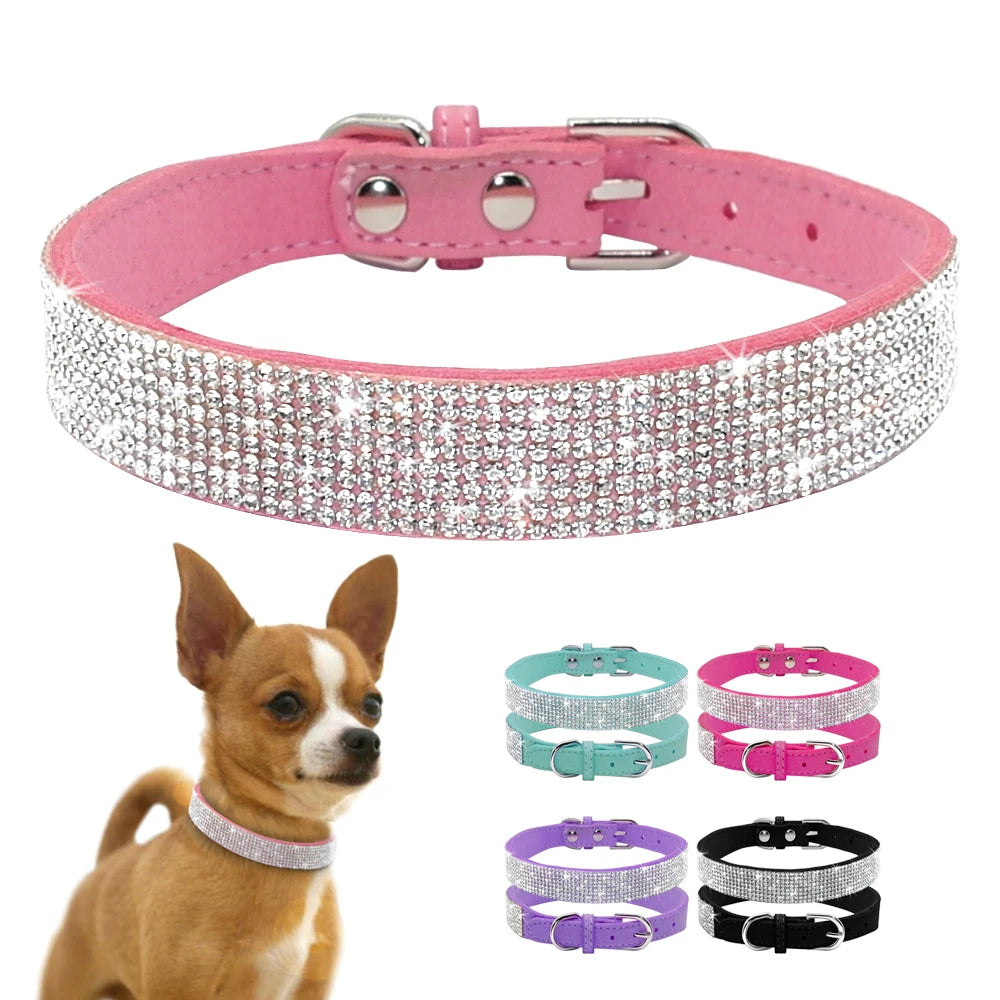 dog collar accessories