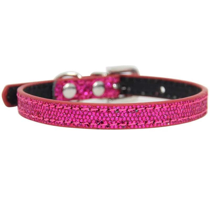 pet collar