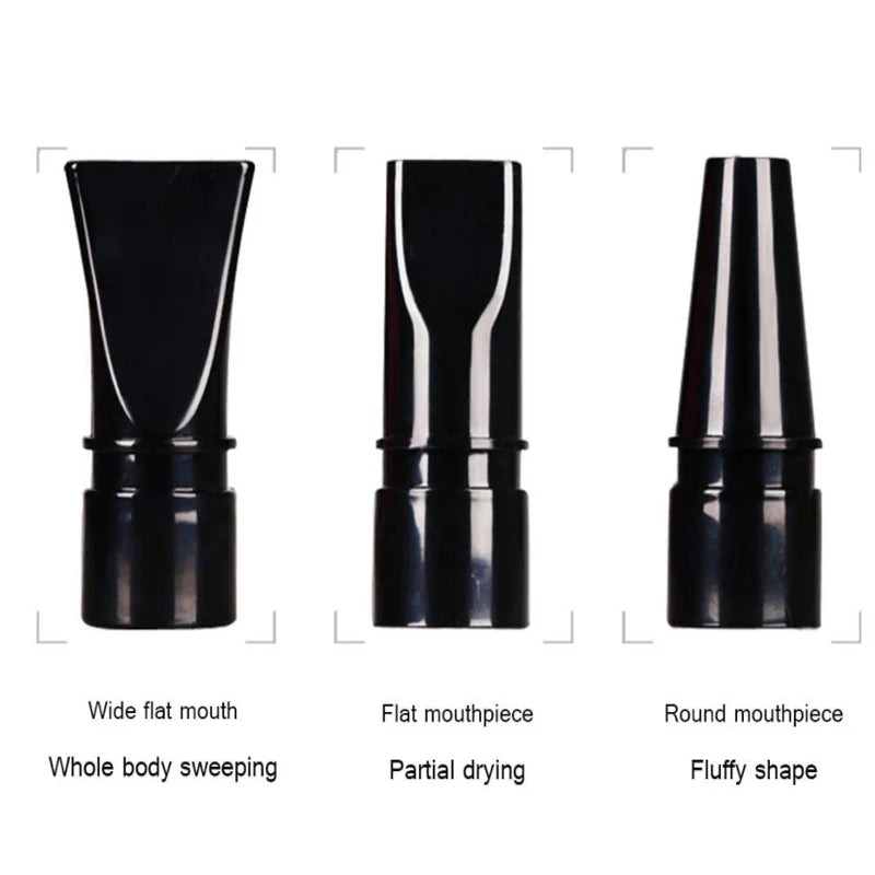 Sèche-cheveux et brosse de toilettage 2 en 1 pour animaux de compagnie