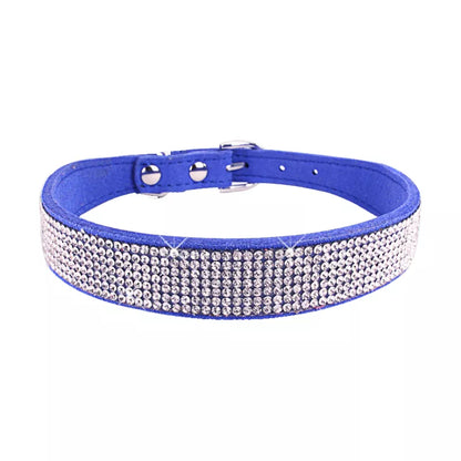 dog collar accessories