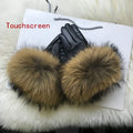 Raccoon Fur 6