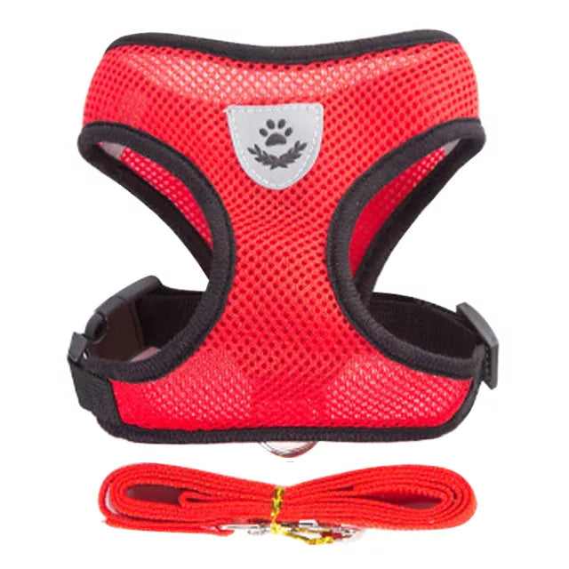 puppy harness