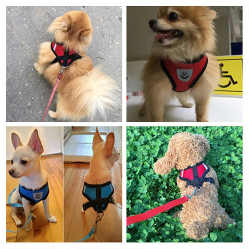 cheap dog harness