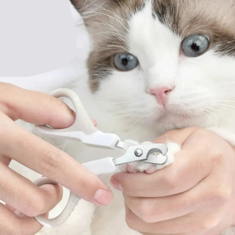 scissor nail clippers for cats