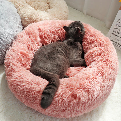 cat bed