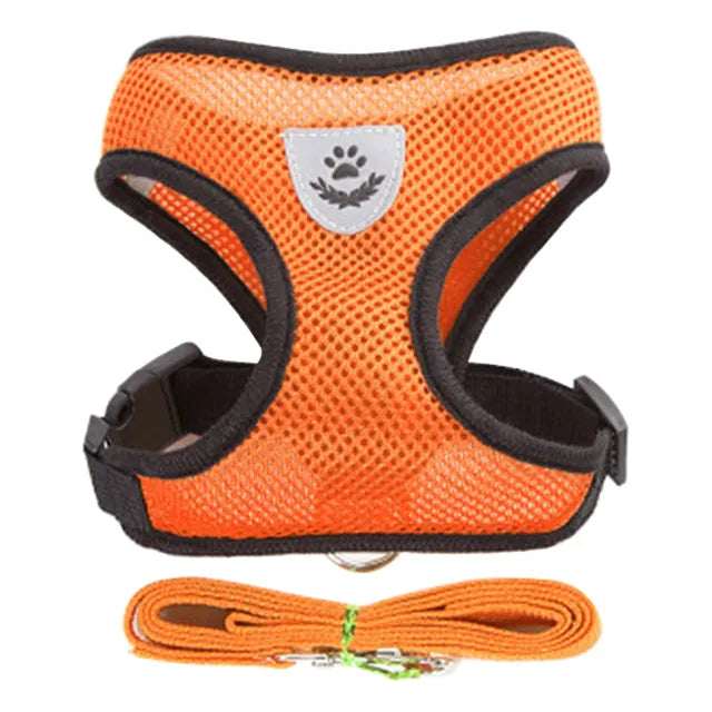 pet harness for dogs