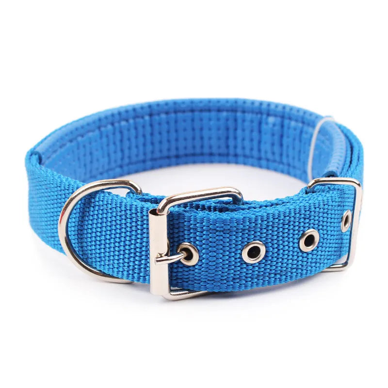 dog collar