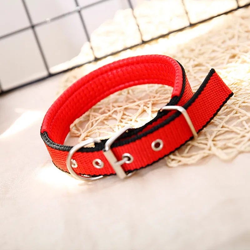 nylon dog collar