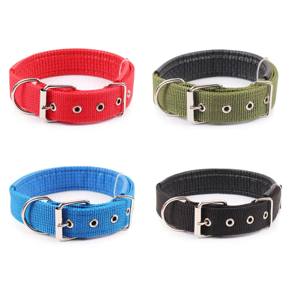 dog collar