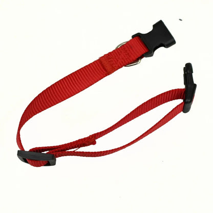 dog leads and collars