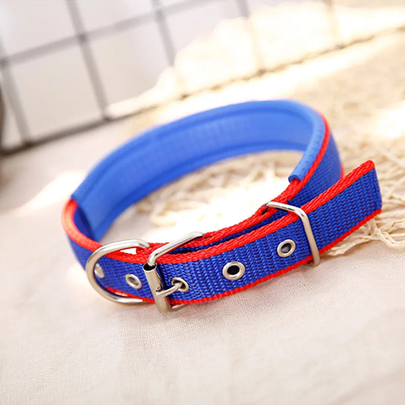 adjustable dog collar