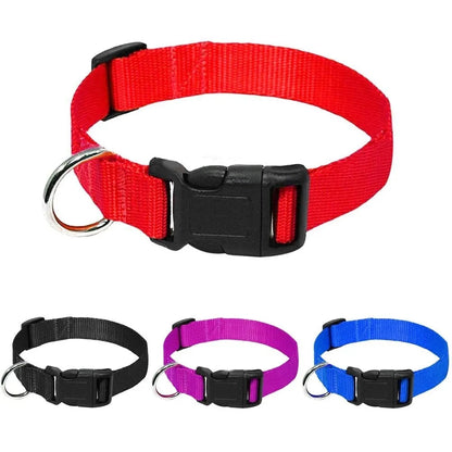 dog collar accessories