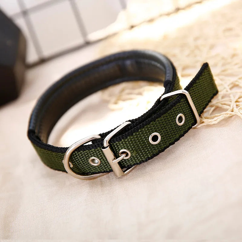 nylon dog collar