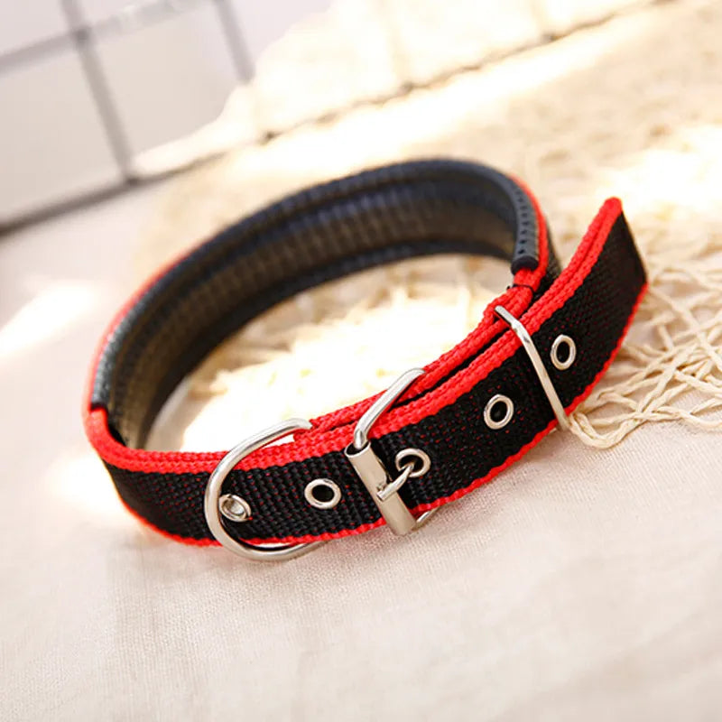 pet collar