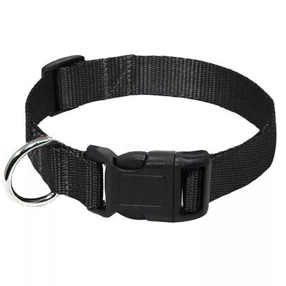 rugged dog collar